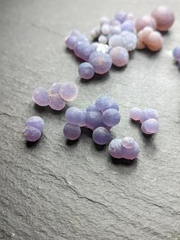 グレープカルセドニー グレープカルセドニーの写真