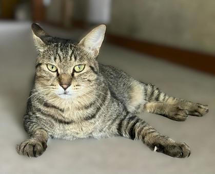 大きくなったね 大きくなったねの写真