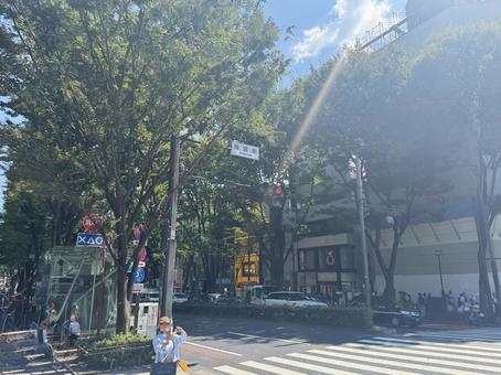 東京都渋谷区神宮前の街並み風景 東京都渋谷区神宮前の街並み風景 東京,渋谷区,神宮前の写真素材