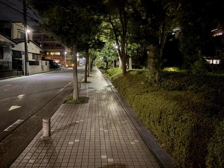 夏の夜 夏の夜 散歩,夜,癒しの写真素材