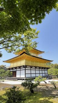 金閣寺 金閣寺,京都,空の写真素材