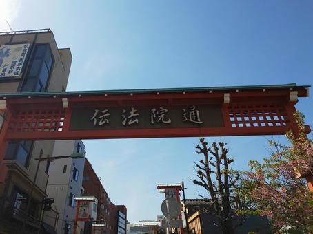 伝法院通り 伝法院通りの写真
