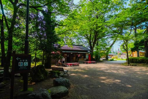 【岐阜】岐阜公園 2025 【岐阜】岐阜公園 2025の写真