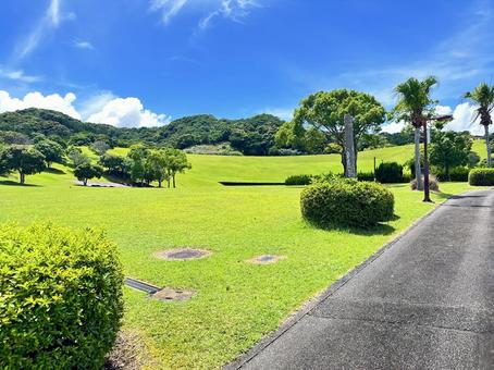 公園 夏の風景 公園 夏の風景 太地町森浦,公園,公共施設の写真素材