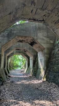 熊延鉄道遺構 八角トンネル 3 熊延鉄道遺構 八角トンネル 3 熊延鉄道,遺構,トンネルの写真素材