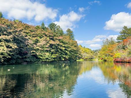 初秋の軽井沢｜雲場池に映る色彩の写真