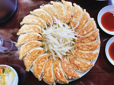 餃子 餃子 浜松,餃子,もやしの写真素材