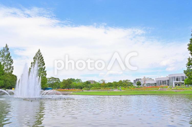 仙台市泉区　七北田公園 公園,七北田公園,噴水の写真素材