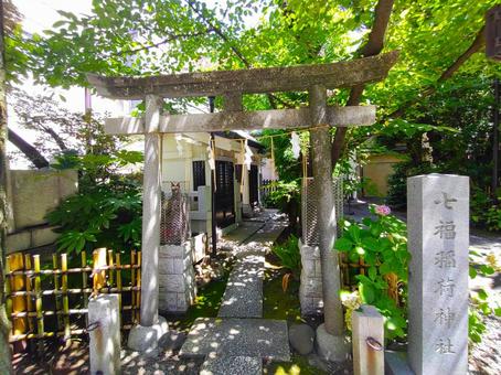 写真素材:東京都 榊神社 七福稲荷神社 写真素材:東京都 榊神社 七福稲荷神社 榊神社,七福稲荷神社,總本宮第六天の写真素材