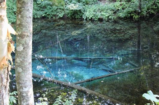神の子池3 神の子池,ブルー,池の写真素材