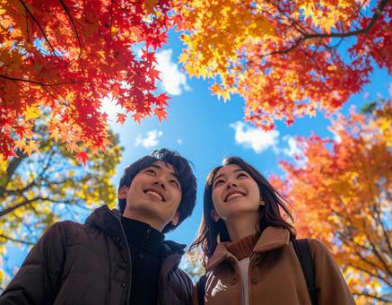 秋の紅葉を見上げて鑑賞する若いカップル 秋の紅葉を見上げて鑑賞する若いカップルの写真