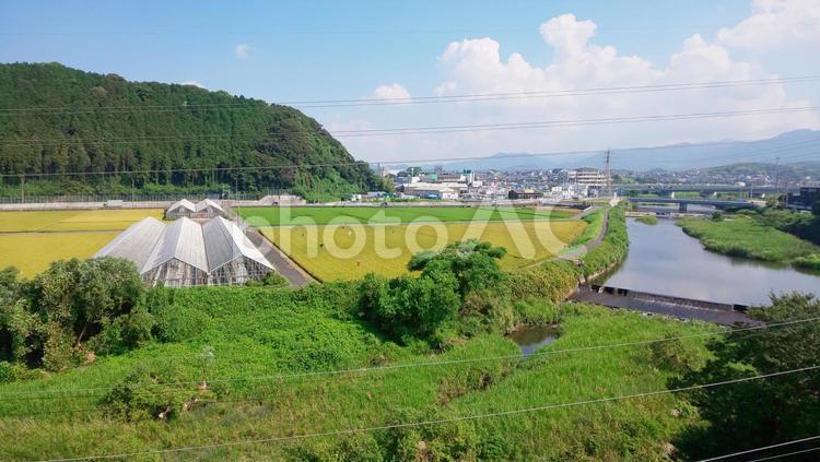 田舎の風景（福岡県粕屋町） 田舎,夏,空の写真素材
