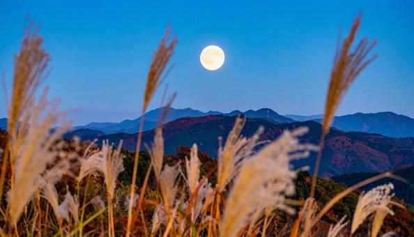秋の十五夜のお月見 中秋の名月とすすき 秋の十五夜のお月見 中秋の名月とすすきの写真