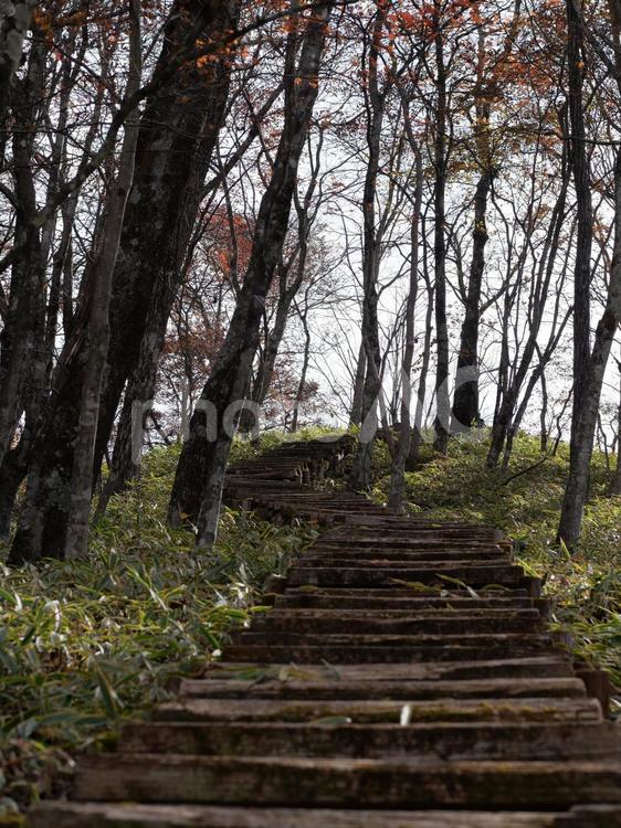 山頂までの階段 榛名山,群馬県,山の写真素材