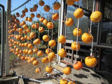 果物 干し柿,果物,柿の写真素材