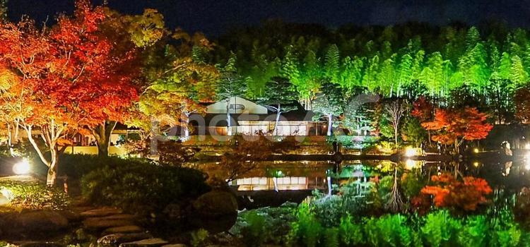 日本庭園ライトアップ 夜,夜景,風景の写真素材