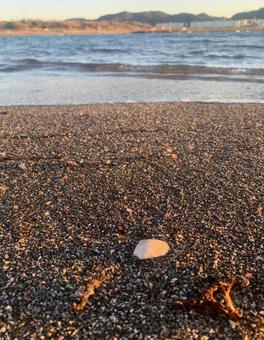 浜辺の夕暮れ 浜辺の夕暮れの写真