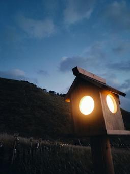 秋の曽爾高原の写真