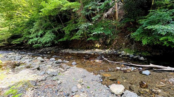 田舎にある大自然の夏の川 田舎にある大自然の夏の川 川,田舎,夏の写真素材