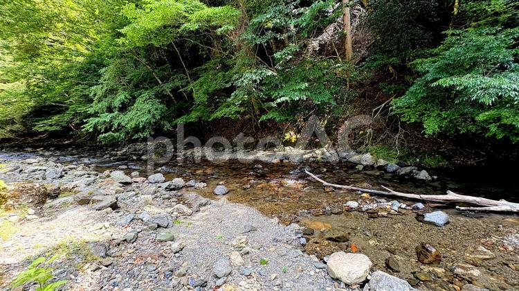 田舎にある大自然の夏の川 川,田舎,夏の写真素材