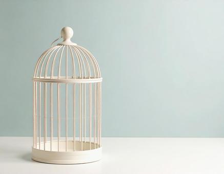 美しい鳥籠 美しい鳥籠の写真