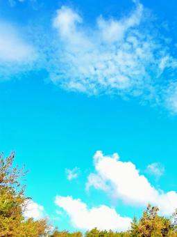 青空と雲 青空と雲の写真