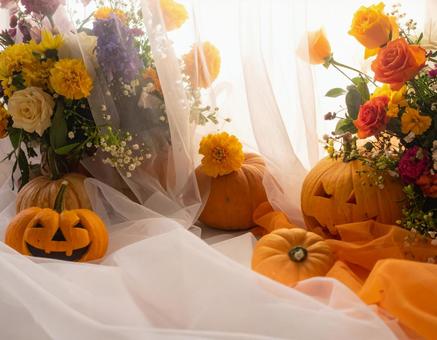 ハロウィンと透明感のある柔らかな布と花 ハロウィンと透明感のある柔らかな布と花の写真