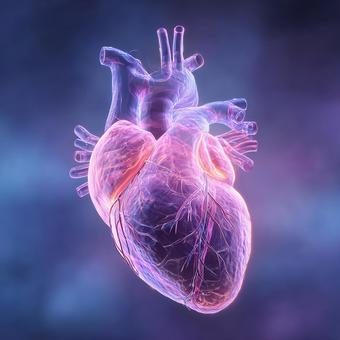 デジタルで描く心臓の鼓動の写真