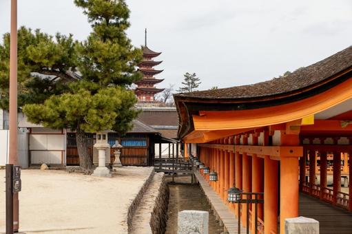 厳島神社の回廊と五重塔 厳島神社の回廊と五重塔 厳島神社,回廊,廊下の写真素材
