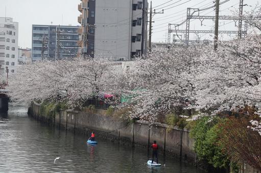 満開の4月 満開の4月の写真