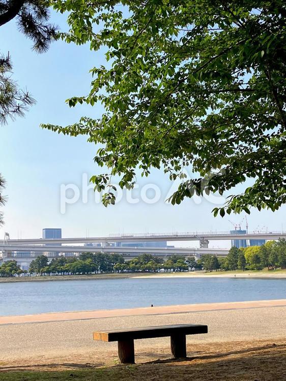 海とベンチ 海,ベンチ,昼の写真素材