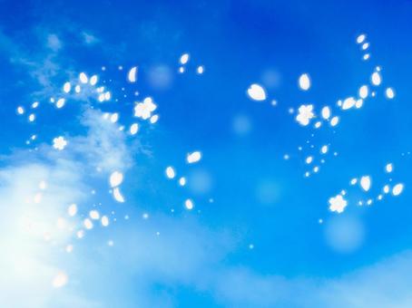 Blue sky and cherry snowstorm 01, JPG