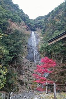 紅葉風景 紅葉風景の写真