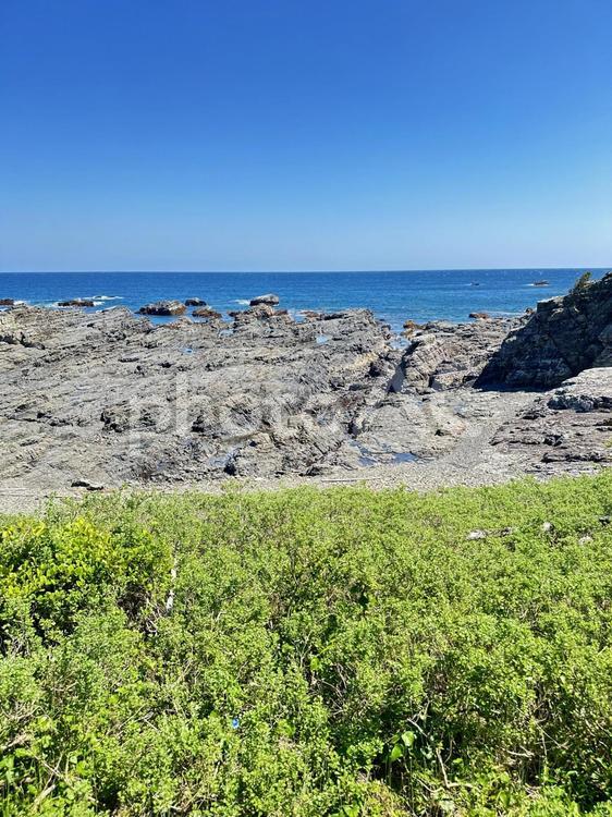 荒船海岸　海岸沿い 串本町の東端,熊野灘沿い,吉野熊野国立公園の写真素材