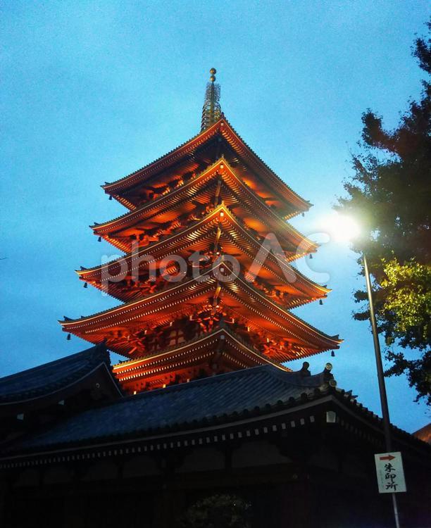 浅草寺　五重塔 浅草寺,五重塔,観光の写真素材