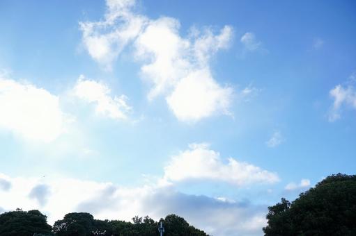 夏の青い空  空,青空,夏の写真素材