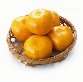 温州みかん 温州みかん 温州みかん,みかん,5つの写真素材