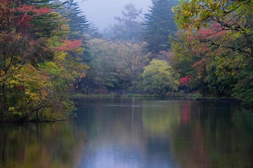 Photo, karuizawa, cloud field pool, a trip, 