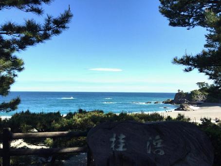 桂浜（高知県） 四国,青い海,砂浜の写真素材