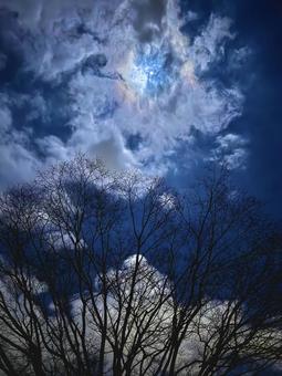 月夜 月夜の写真