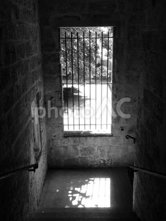 窓 窓,窓越し,背景の写真素材