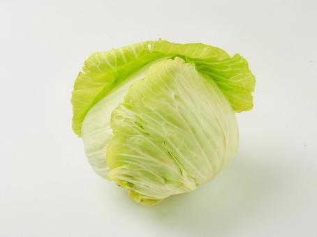 cabbage, JPG cabbage, JPG