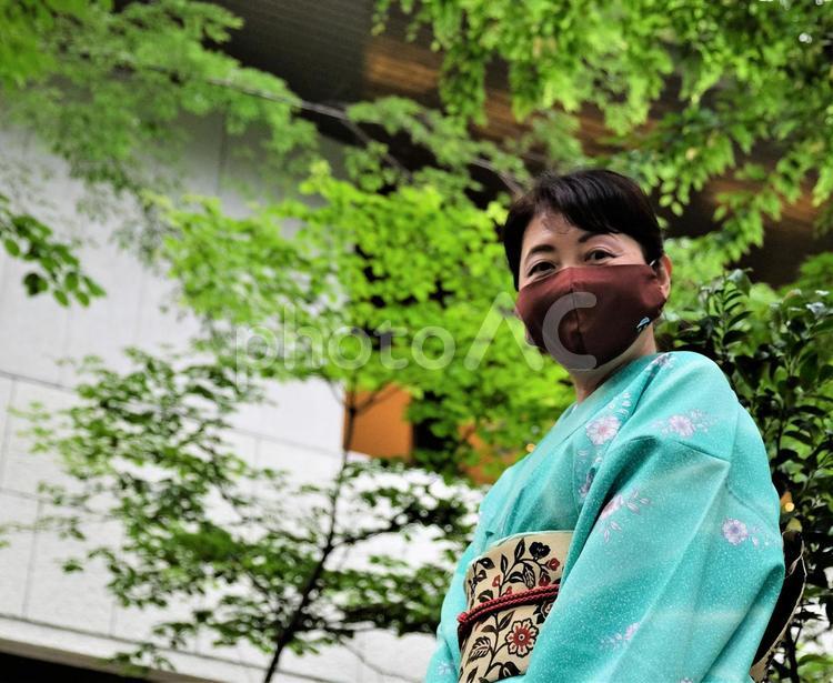 新緑の木の下に立つ着物の女性 着物,女性,見つめるの写真素材