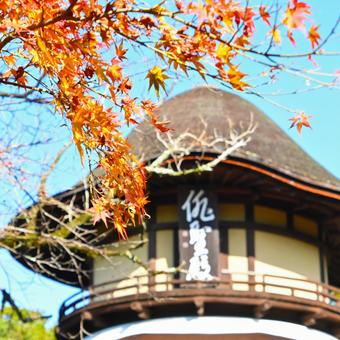 秋の松尾芭蕉 俳聖殿 俳聖殿,八角堂,松尾芭蕉の写真素材