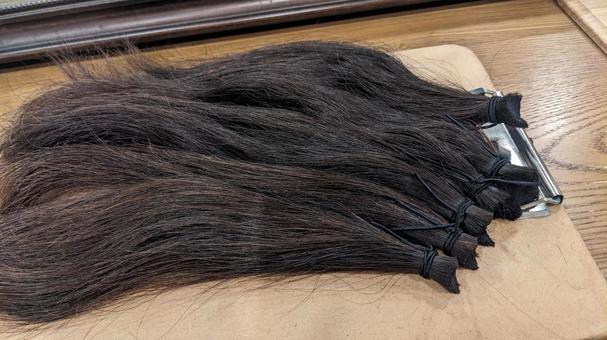 ヘアドネーションのために切った髪の毛 ヘアドネーション,髪の毛,頭髪の写真素材