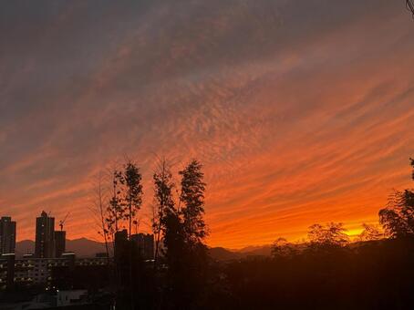 燃える空 空,夕焼け,風景の写真素材