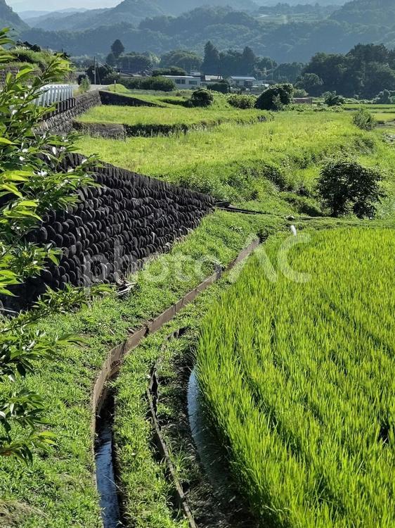 山と田の美しい風景 田んぼ,山,風景の写真素材
