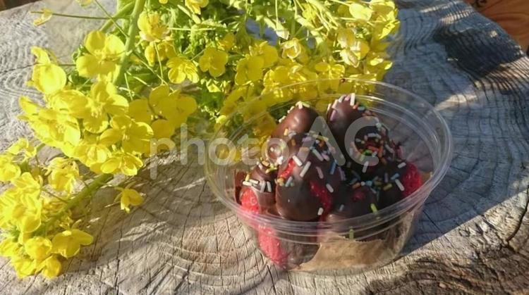 菜の花といちご 菜の花,春,いちごの写真素材