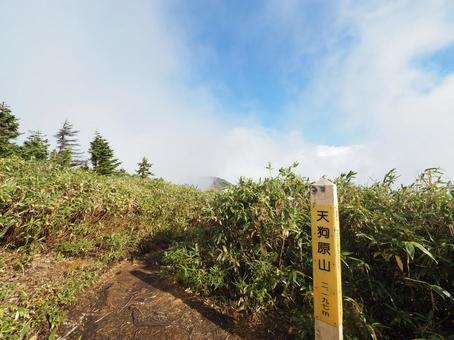 天狗原山山頂 天狗原山山頂の写真