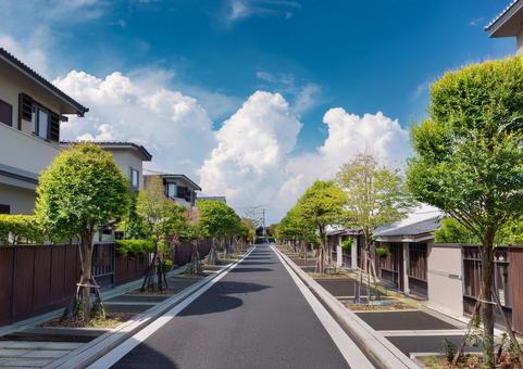 新しい郊外の住宅街 新しい郊外の住宅街の写真